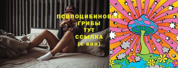 бутират Дмитриев