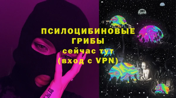 mdpv Дмитровск