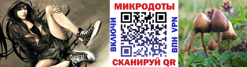 Галлюциногенные грибы Psilocybe  Купить где  Разумное 